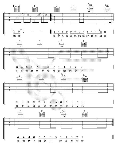 一生有你吉他谱 