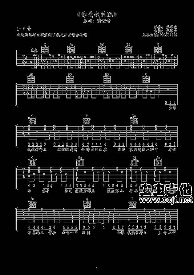 你是我的眼吉他谱