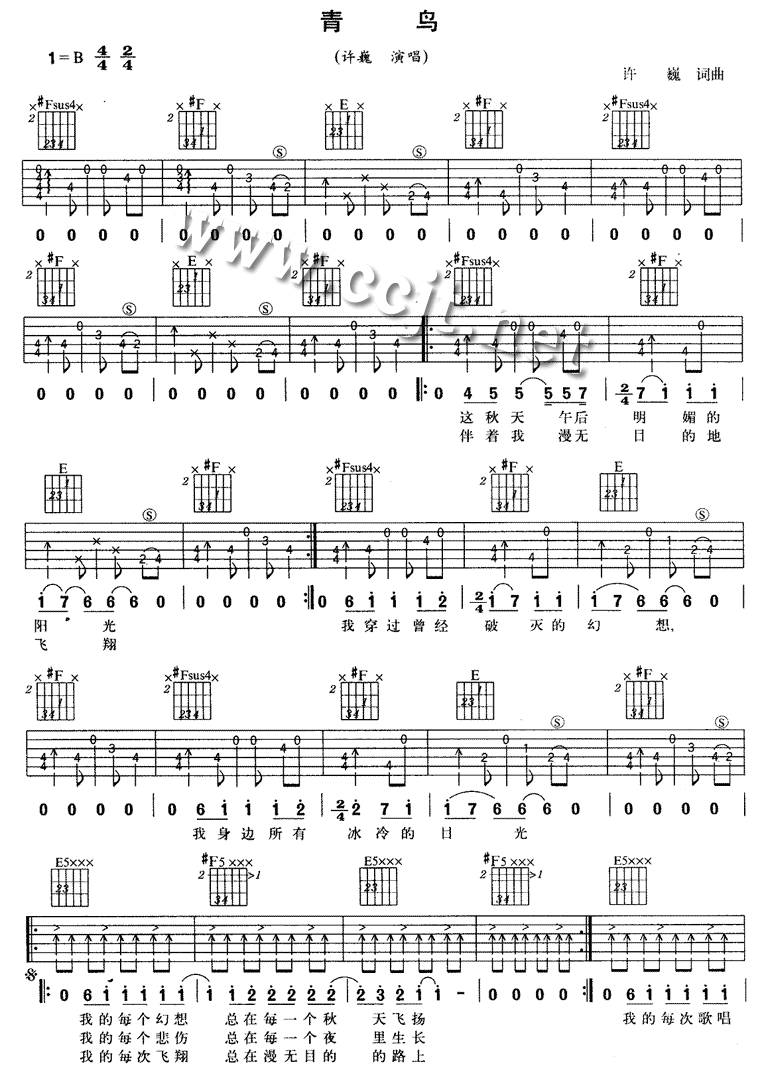 青鸟吉他谱