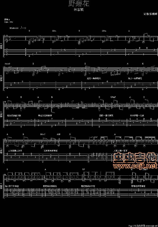 野菊花E调吉他谱