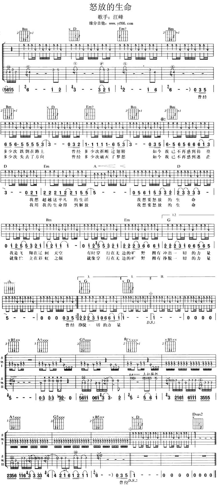 怒放的生命吉他谱 