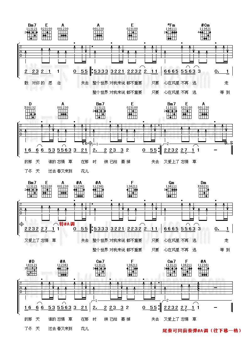 花儿爱上忘情草吉他谱 