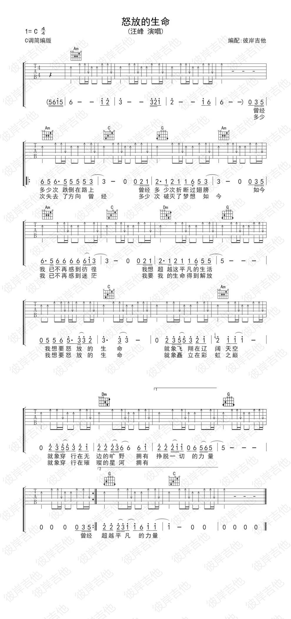 怒放的生命 C调简编版吉他谱 
