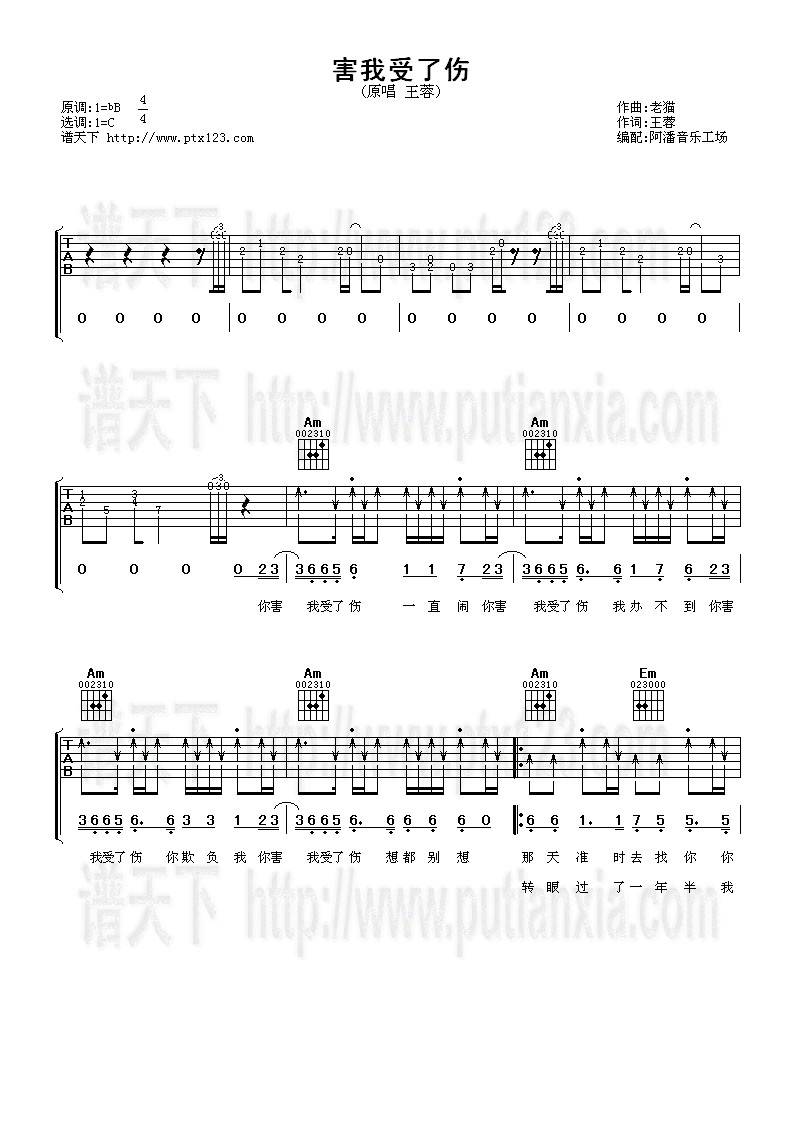 害我受了伤吉他谱