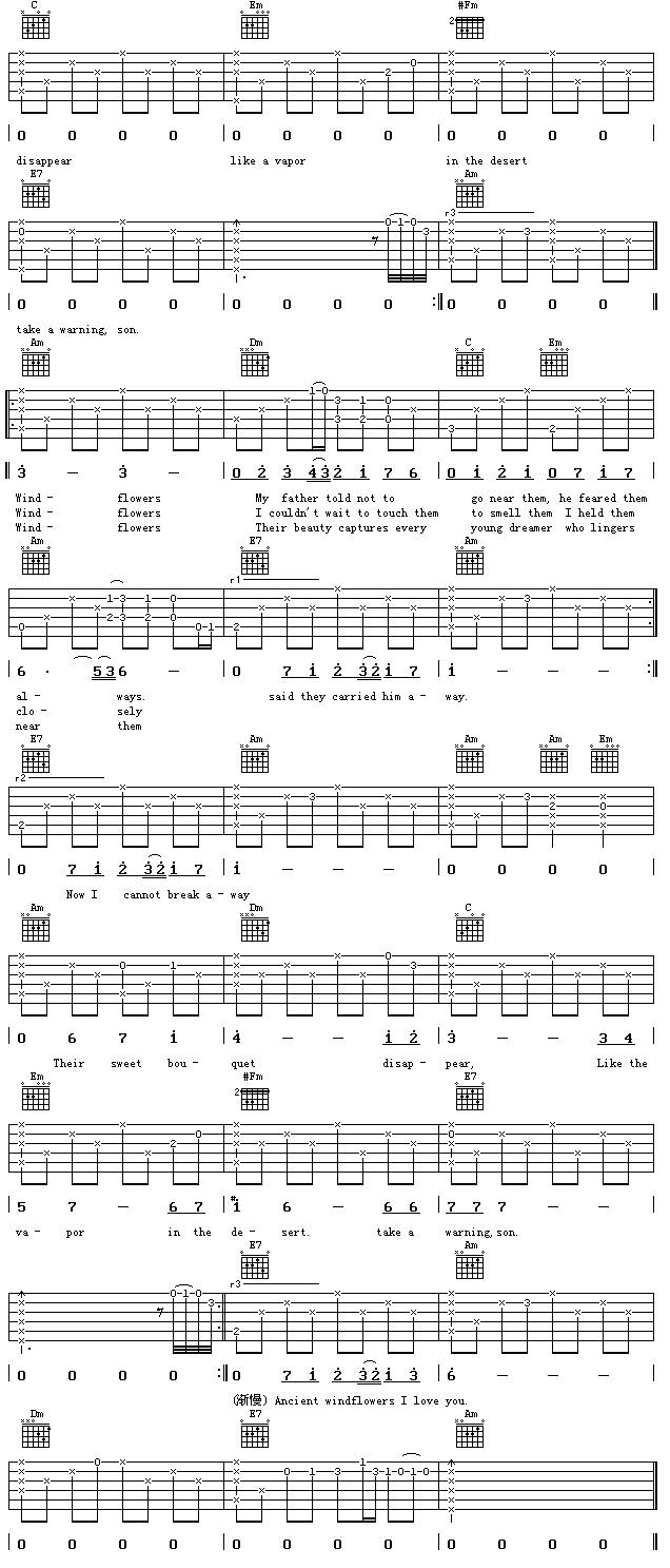 Wind Flower吉他谱 