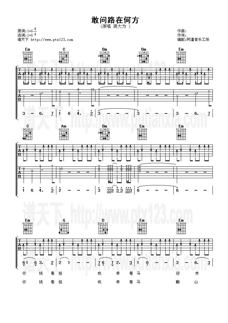 敢问路在何方吉他谱