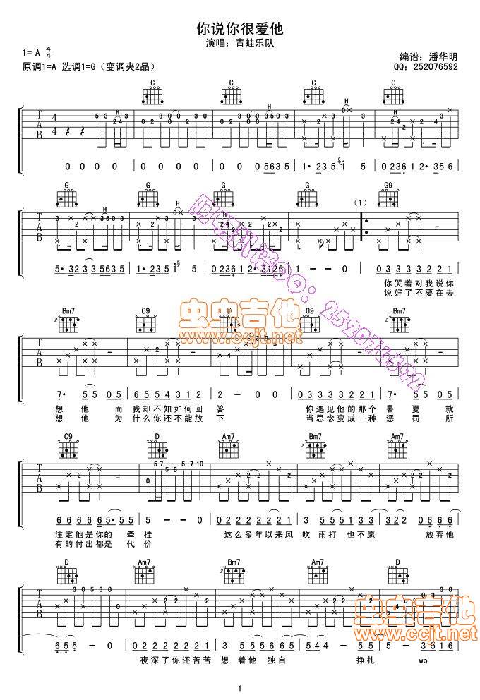 你说你很爱他吉他谱