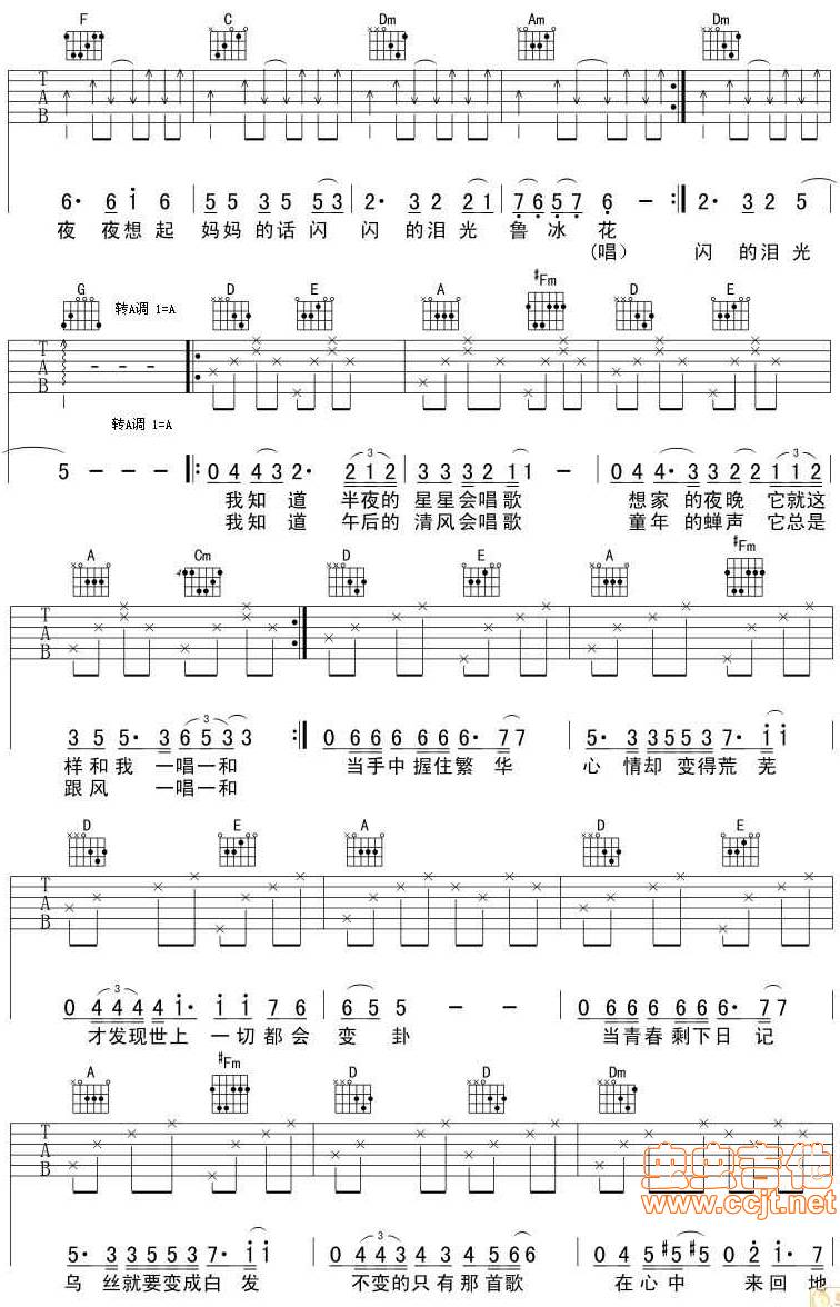 鲁冰花吉他谱