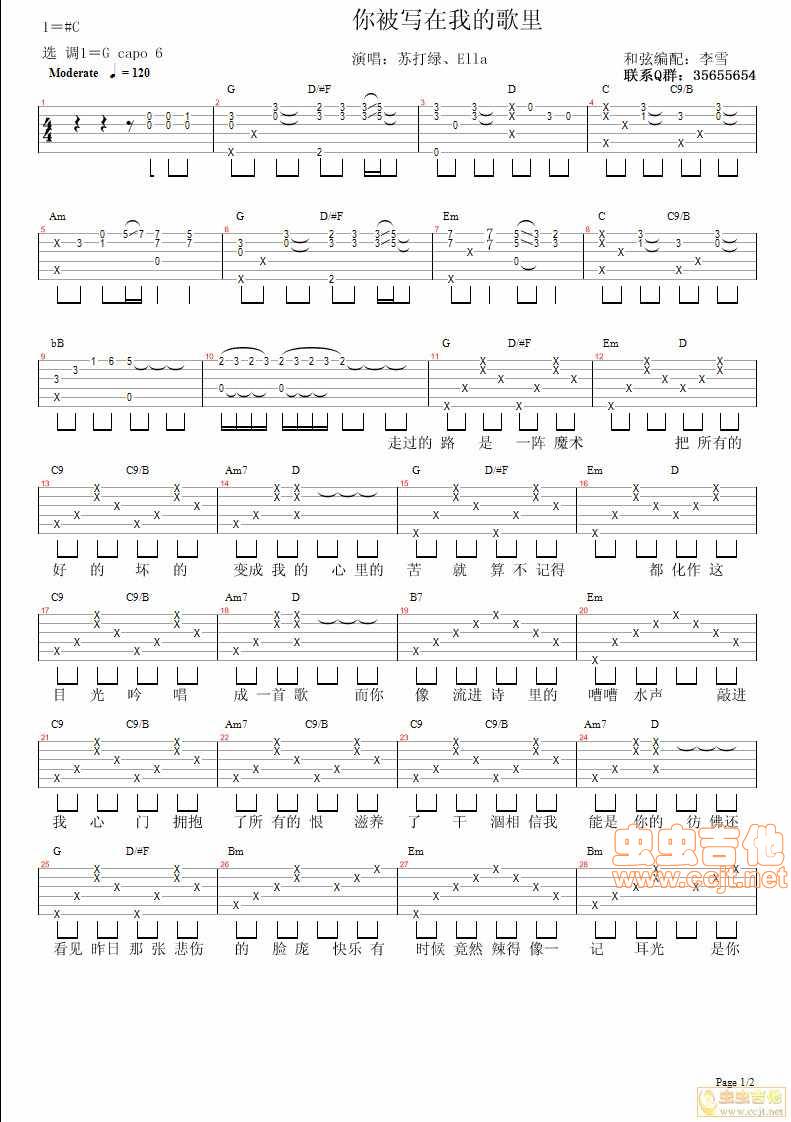 你被写在我的歌里吉他谱