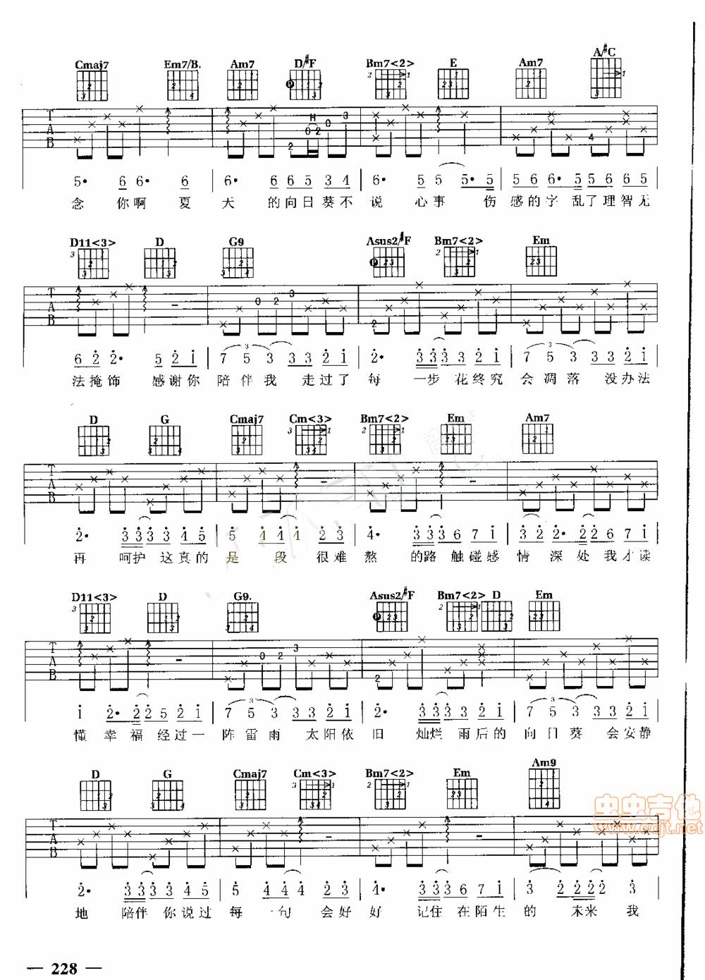 向日葵盛开的夏天吉他谱