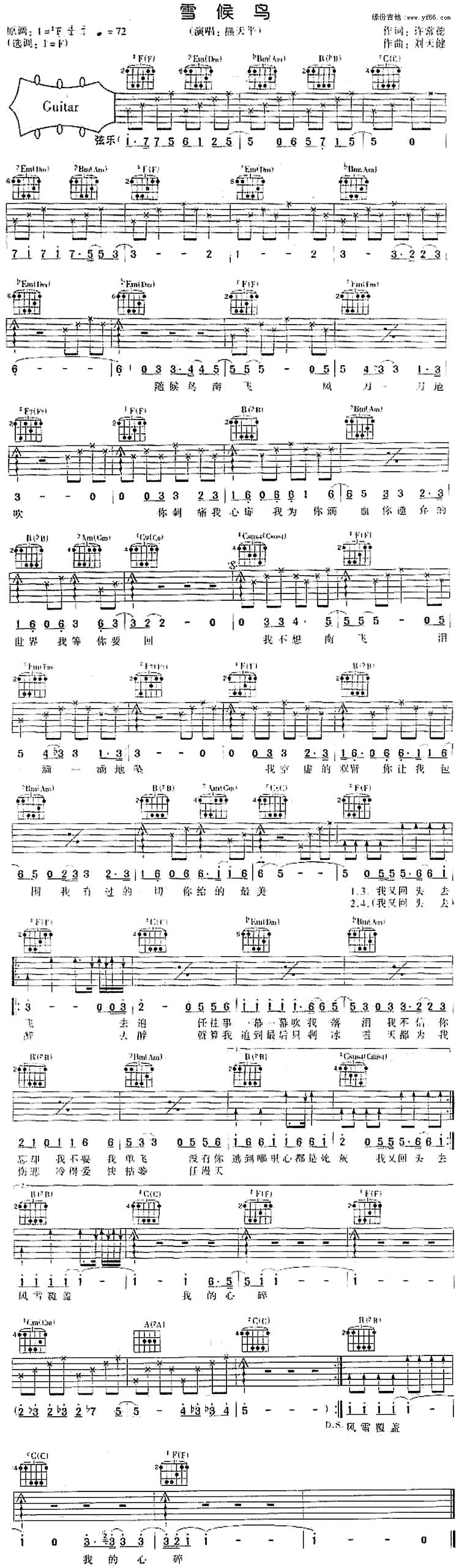 雪侯鸟吉他谱 