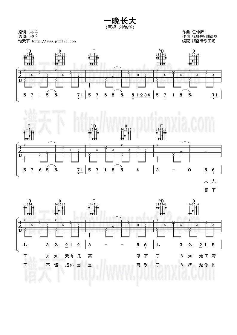 一晚长大吉他谱