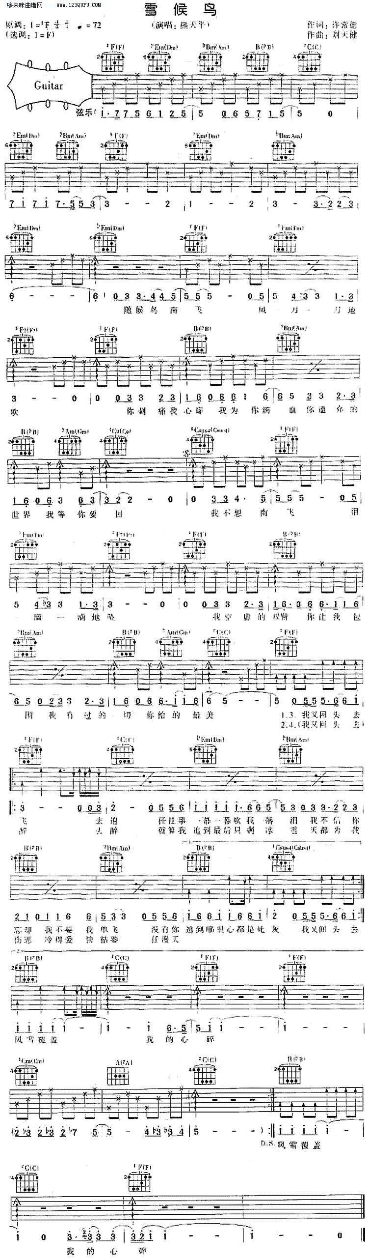 雪侯鸟—熊天平吉他谱 