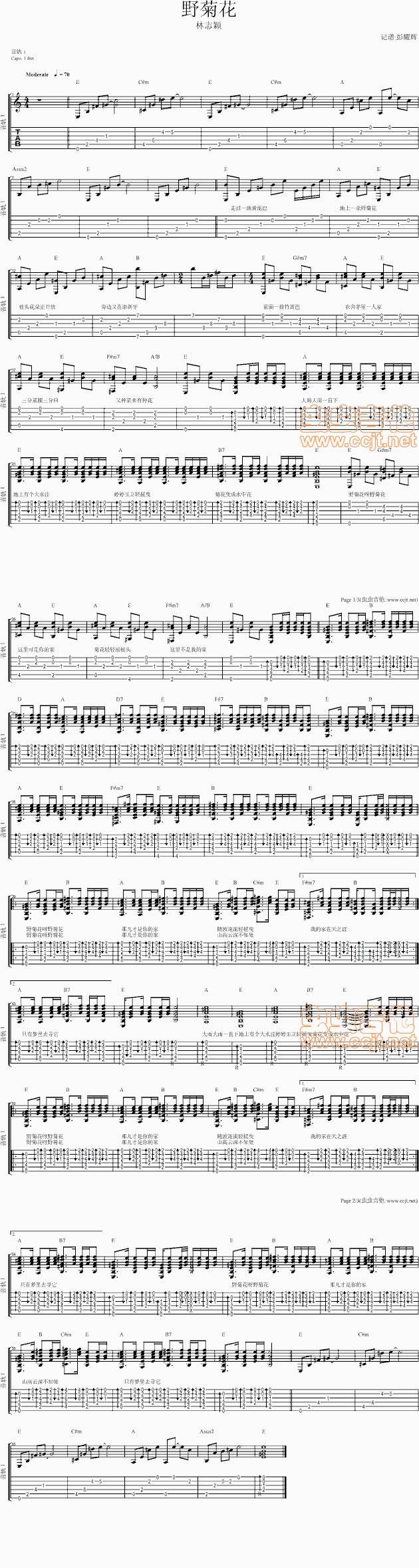 野菊花 原版吉他谱 