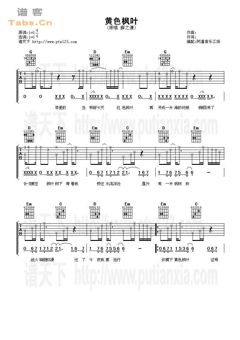 黄色枫叶 谱天下版	吉他谱