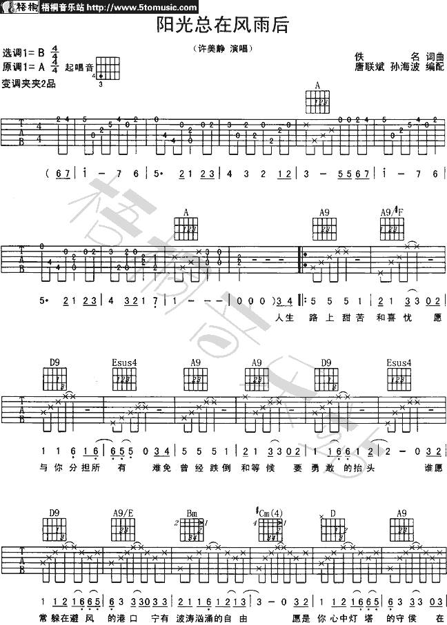 阳光总在风雨后 Ver1吉他谱 