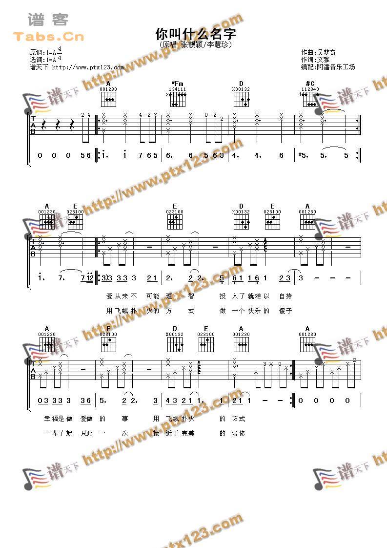 你叫什么名字 完美版	吉他谱
