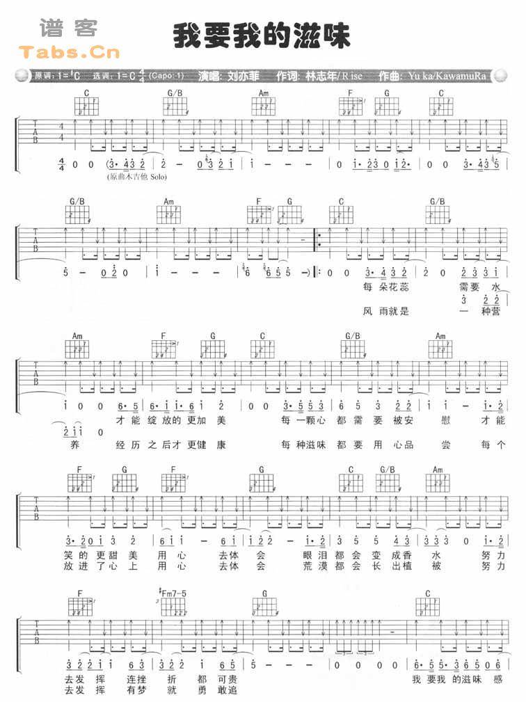 我要我的滋味 完美版吉他谱 