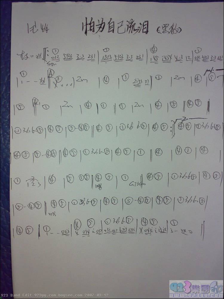 黑豹-怕你为自己流泪吉他谱 