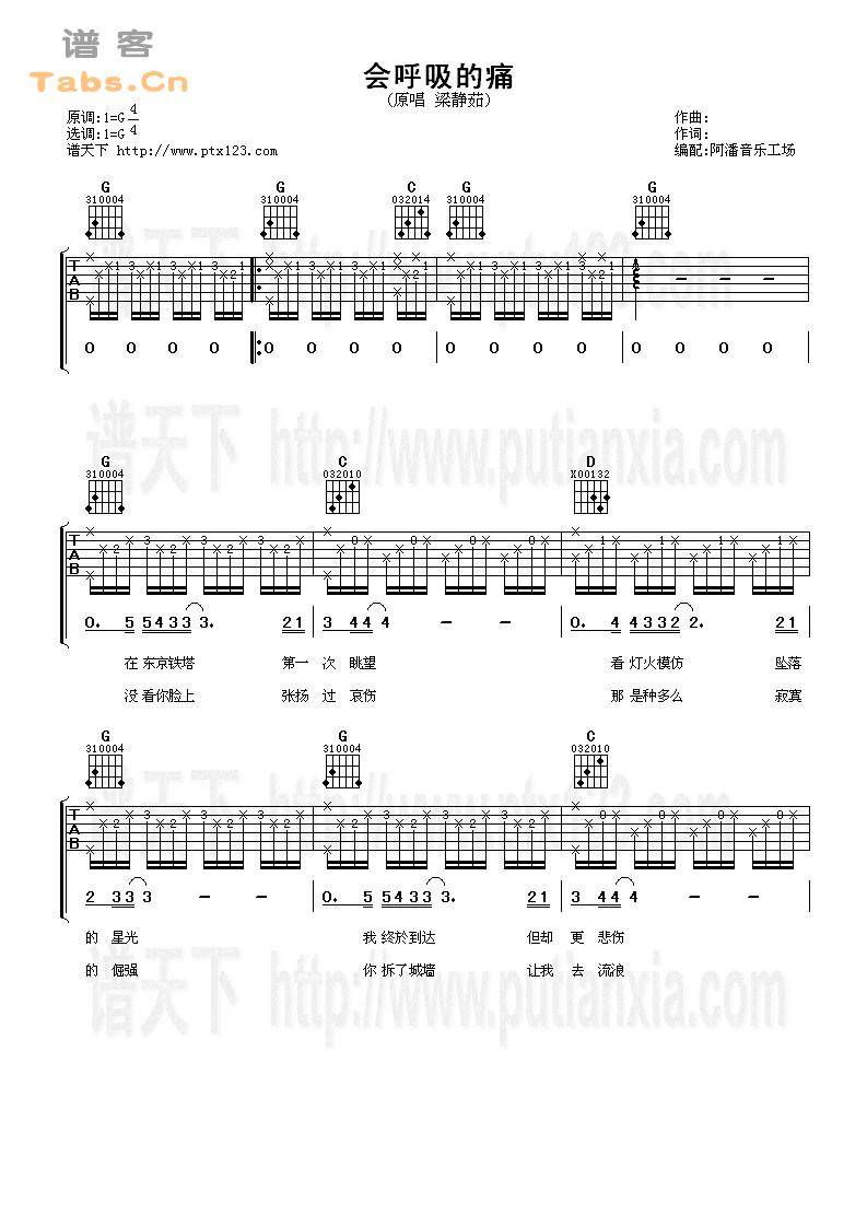 会呼吸的痛 	吉他谱
