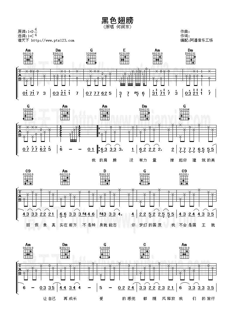 黑色翅膀吉他谱