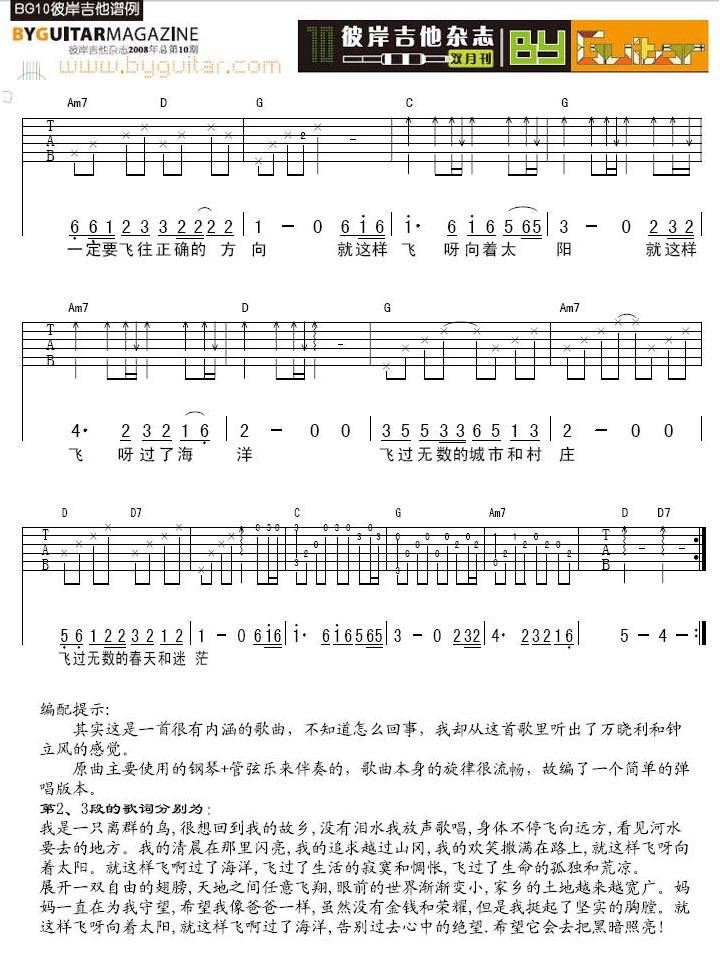 我是一只离群的鸟吉他谱 