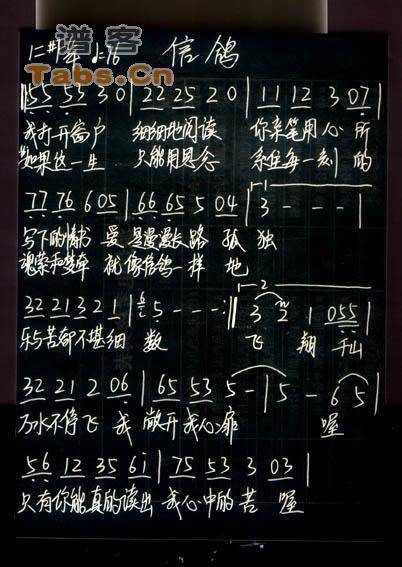 信鸽 简谱版	吉他谱
