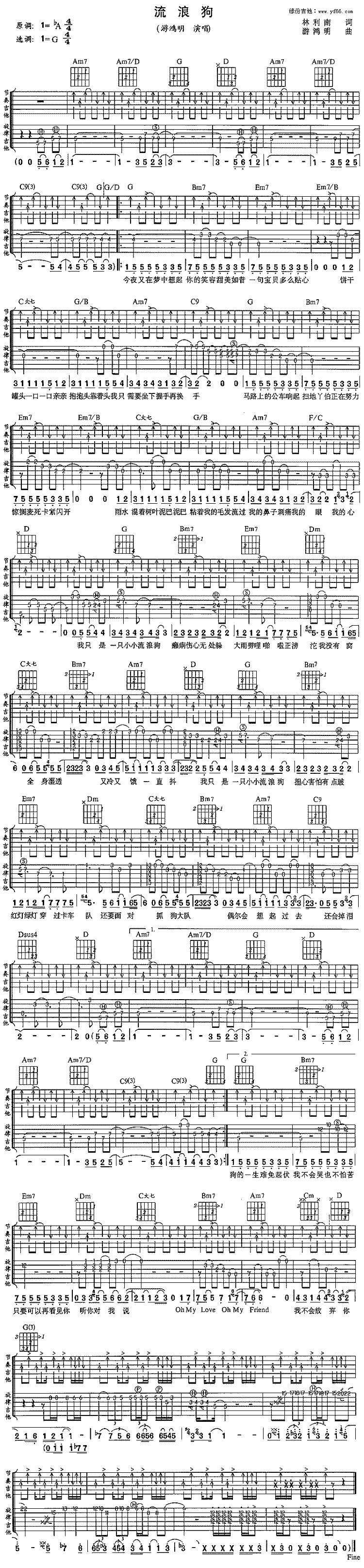 流浪狗吉他谱 