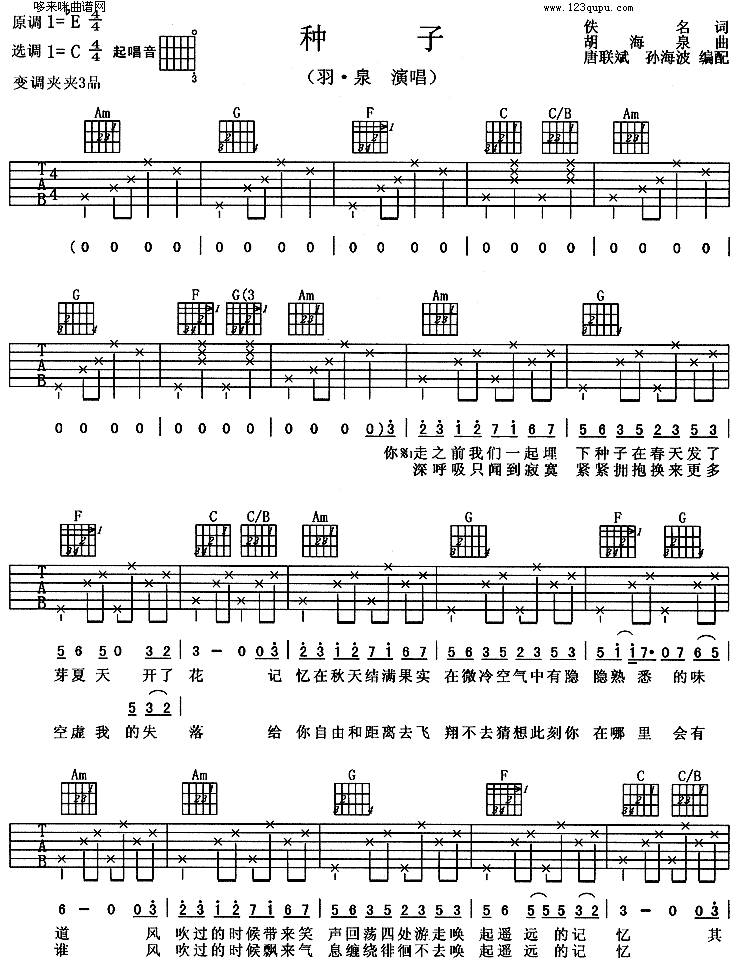 种子(羽泉)吉他谱