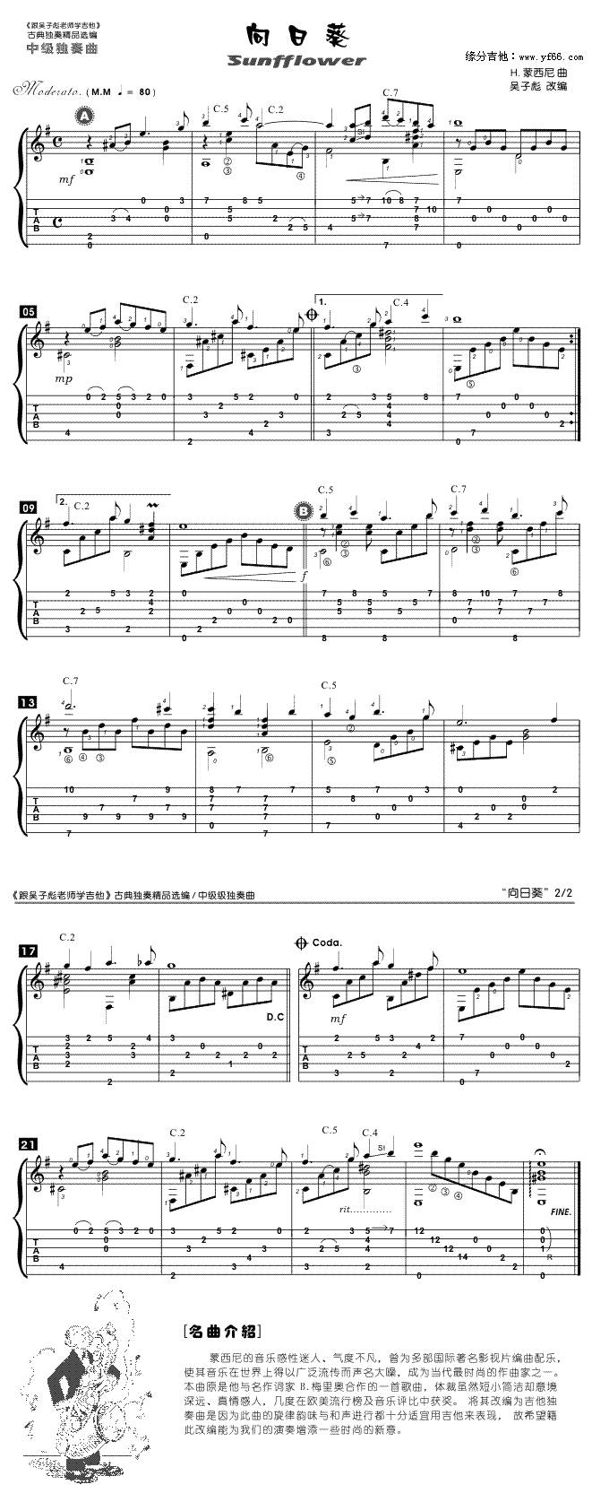 向日葵吉他谱 
