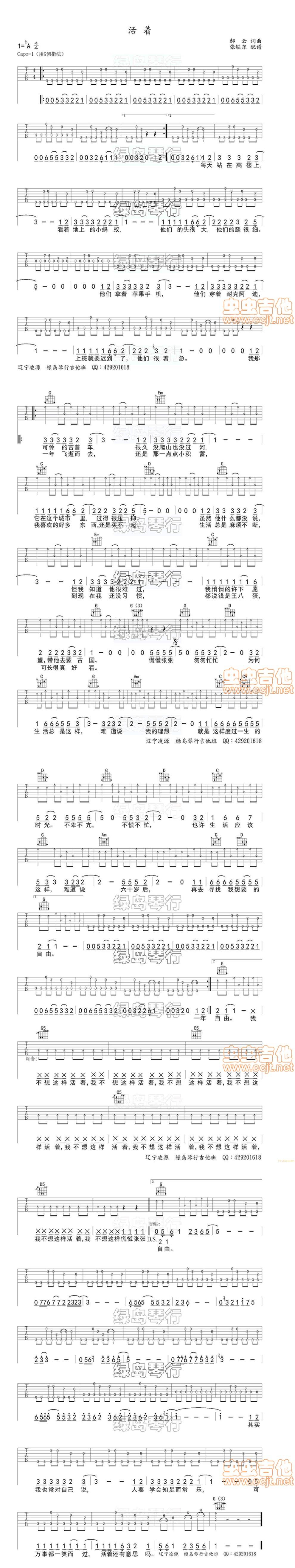 活着 G调吉他谱 