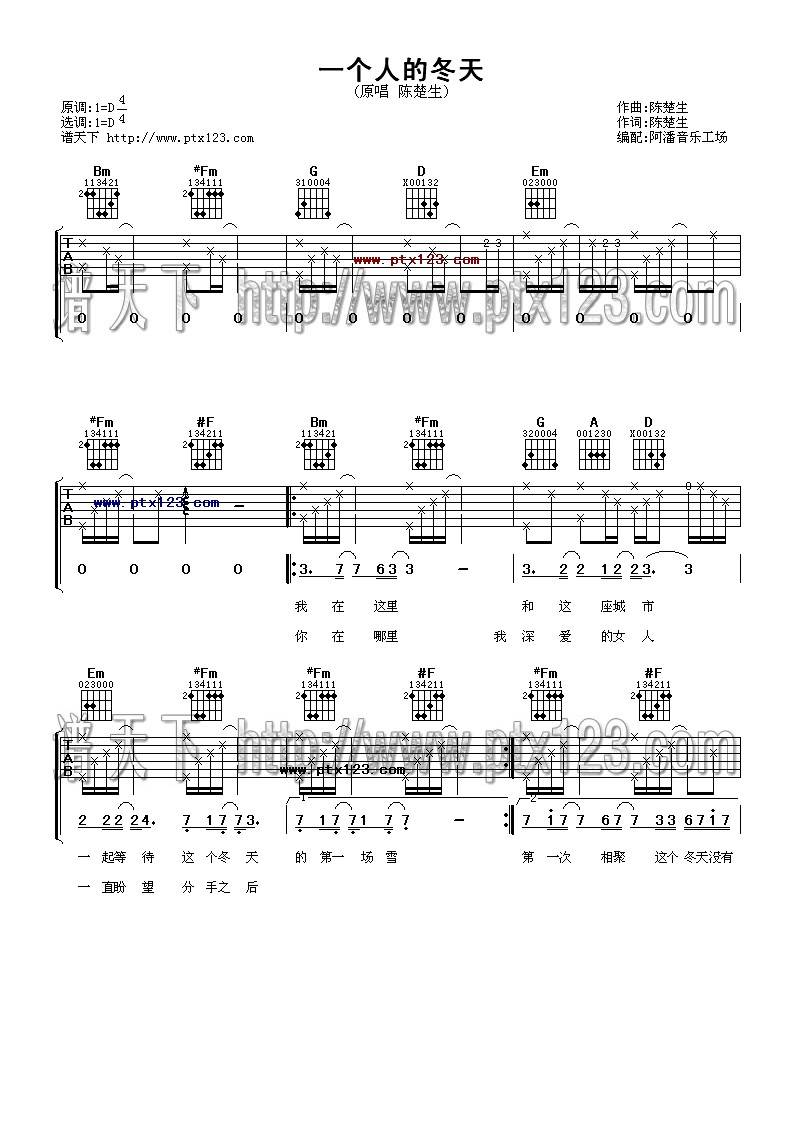 一个人的冬天吉他谱