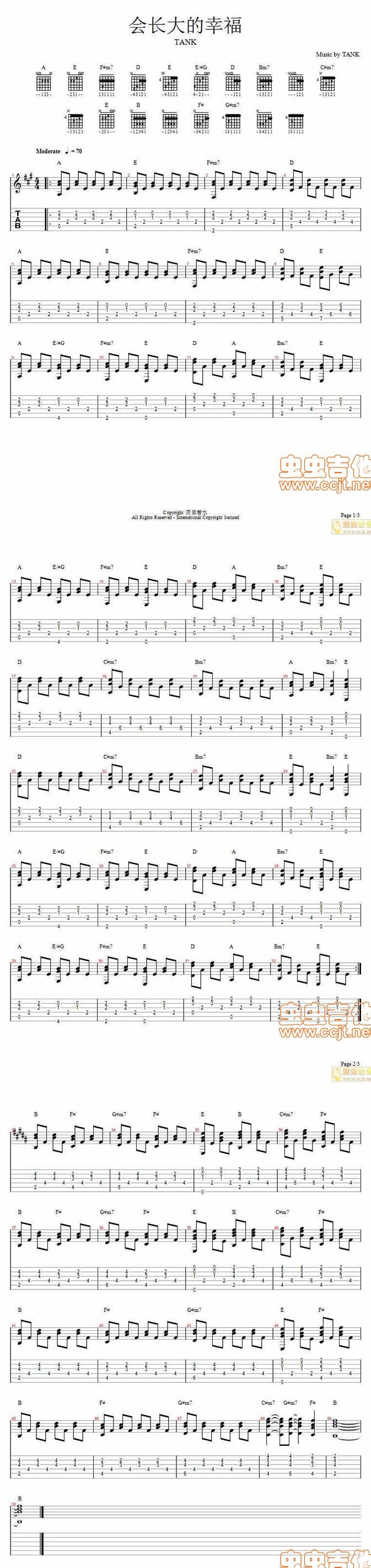 会长大的幸福 TANK吉他谱 