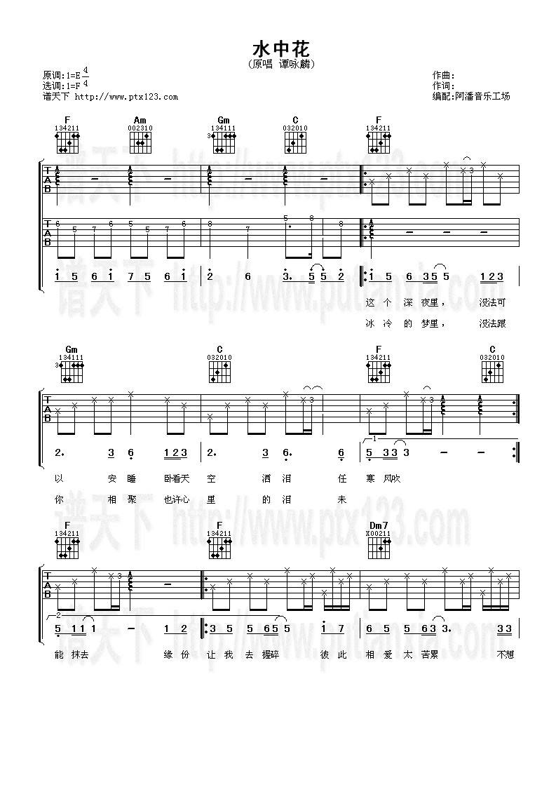 水中花吉他谱