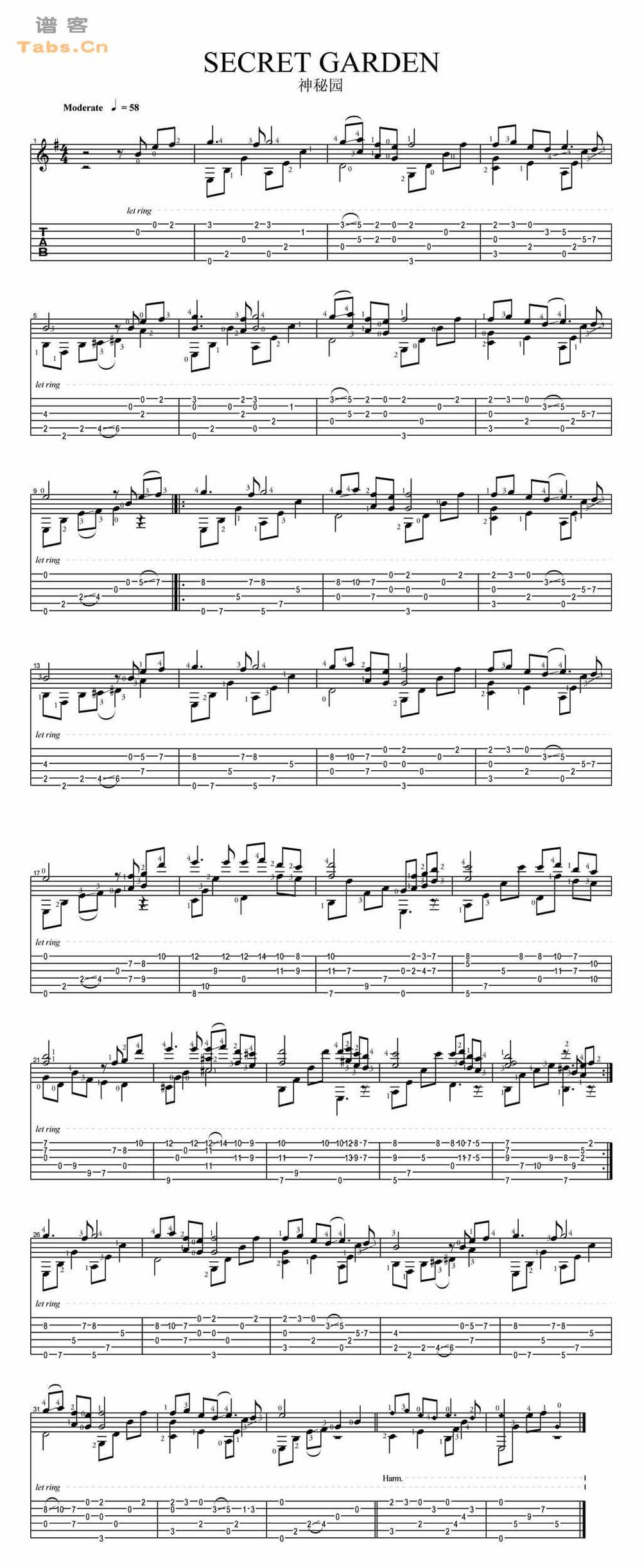 神秘园 吉他谱	 