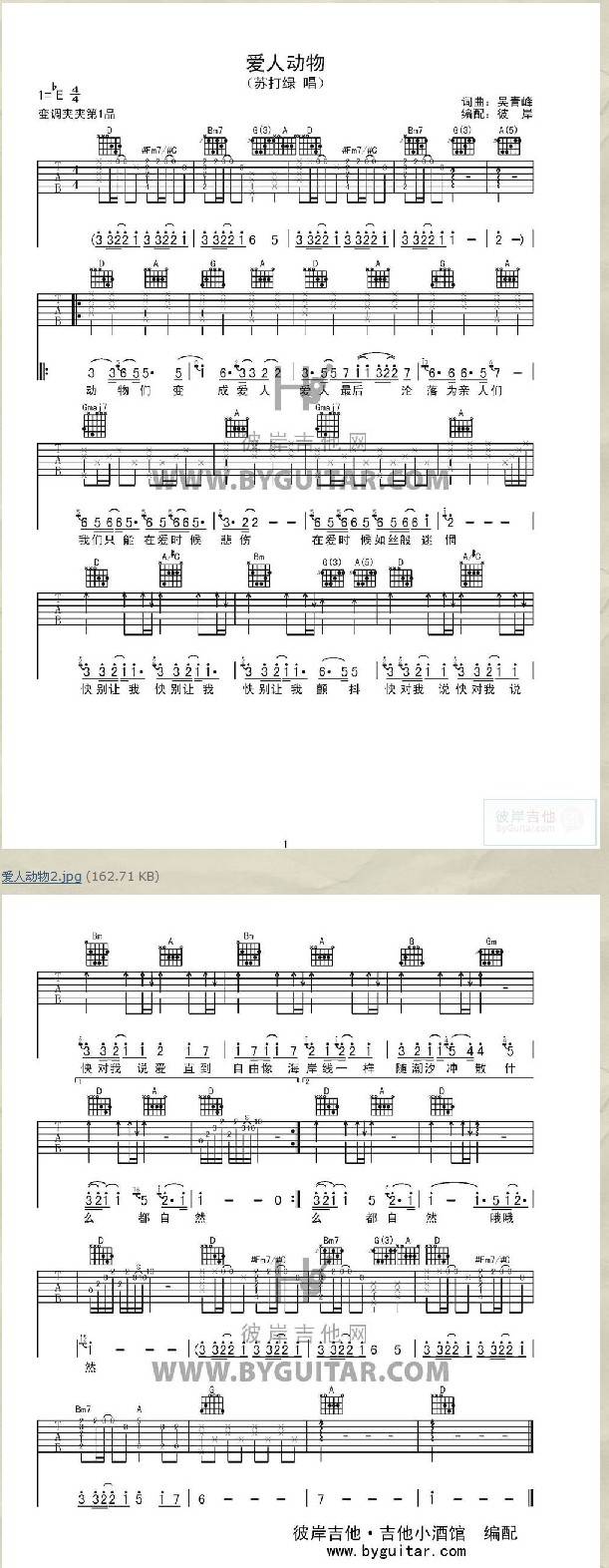 爱人动物吉他谱 