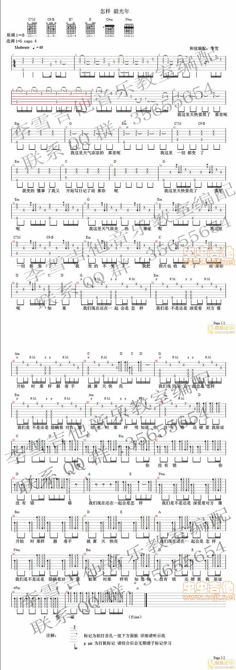 怎样 毅光年-李雪吉他音乐吉他谱 