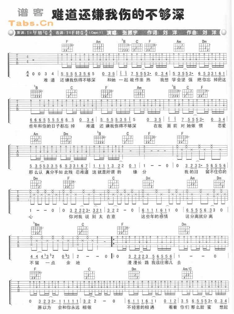 难道还嫌我伤的不够深 完美版吉他谱 