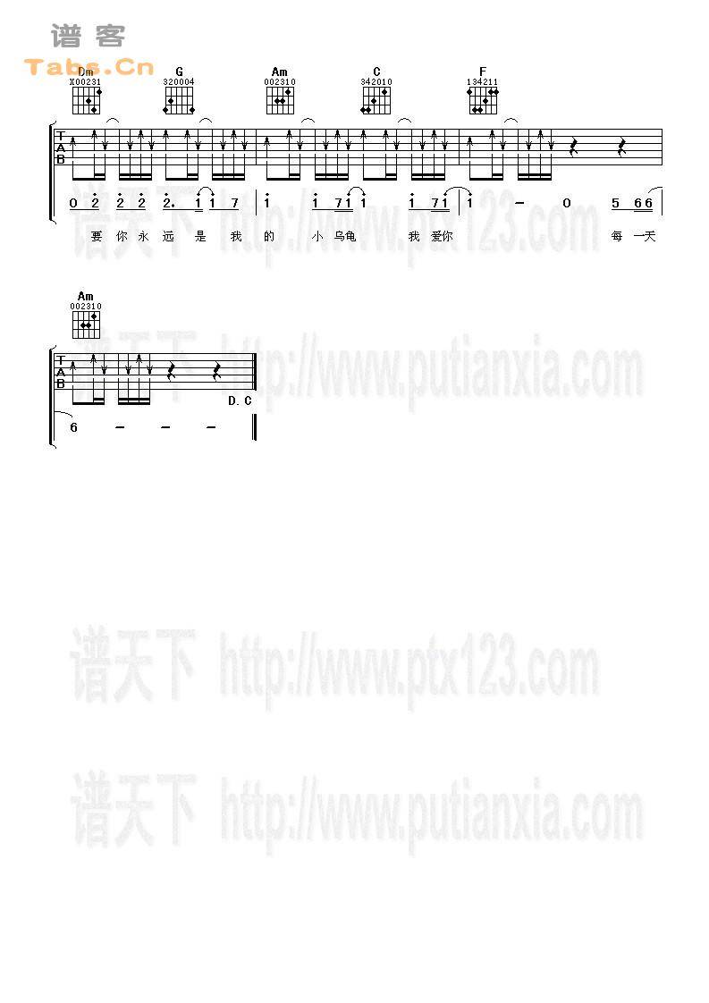 小乌龟 完美版	吉他谱 