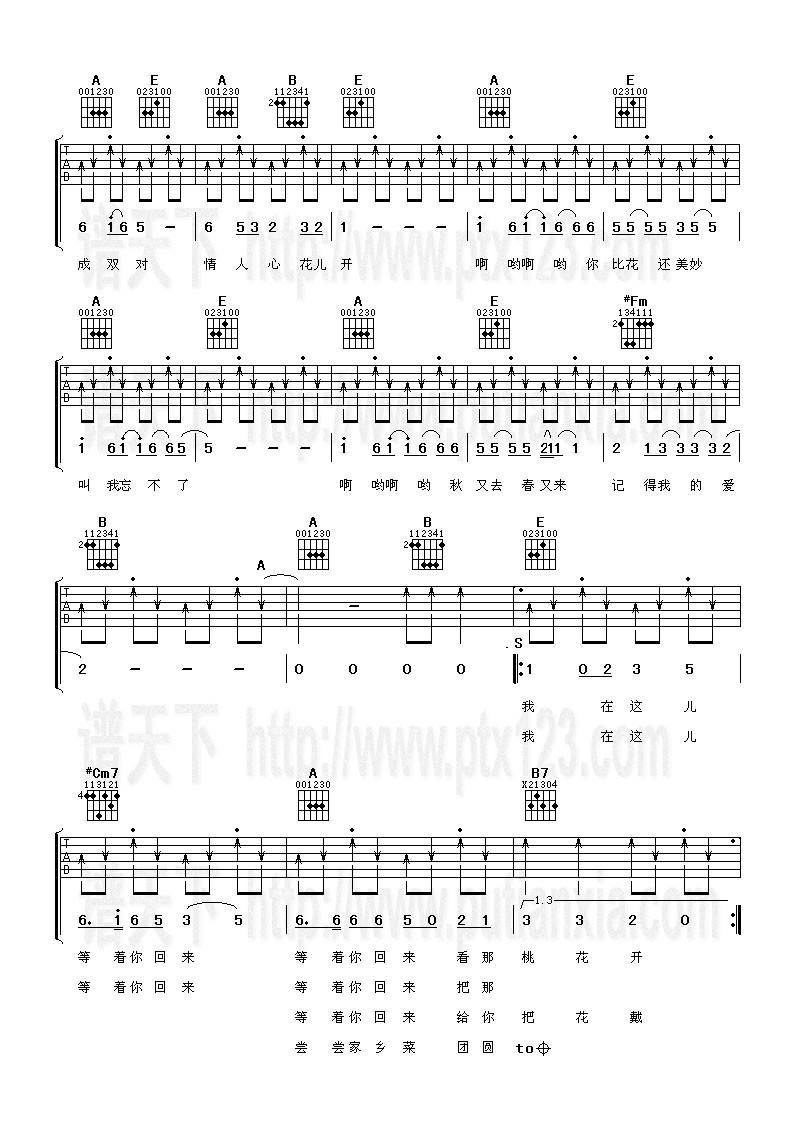 桃花朵朵开吉他谱