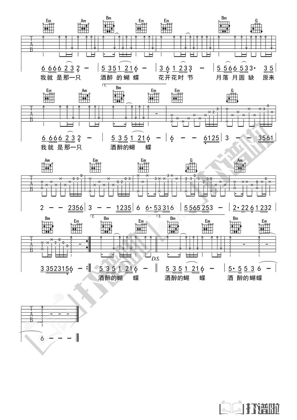 酒醉的蝴蝶吉他谱_G调版 