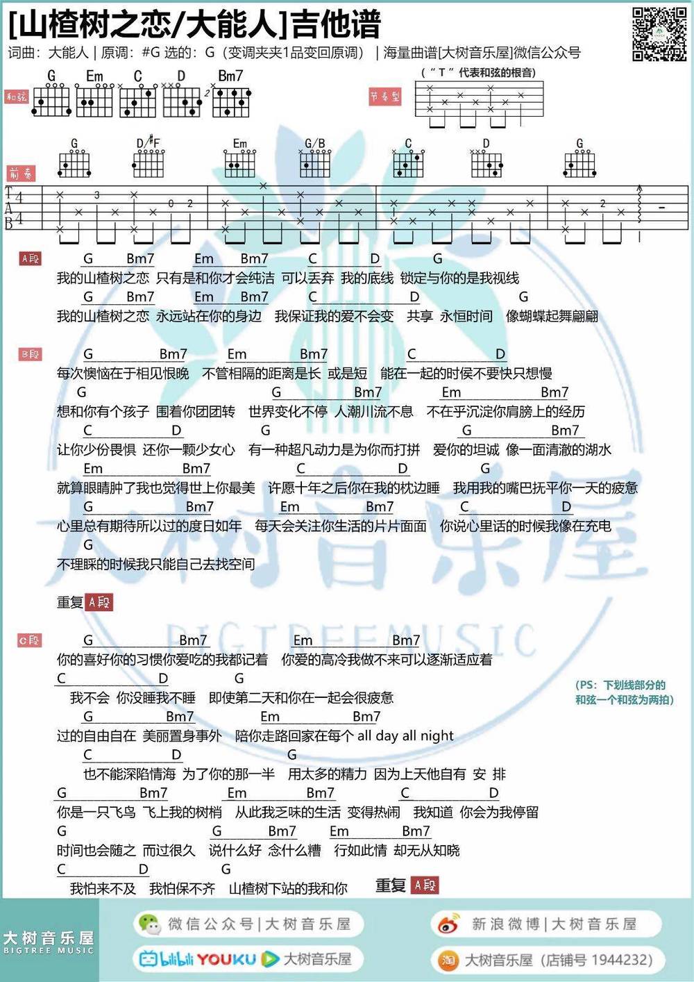 山楂树之恋吉他谱 