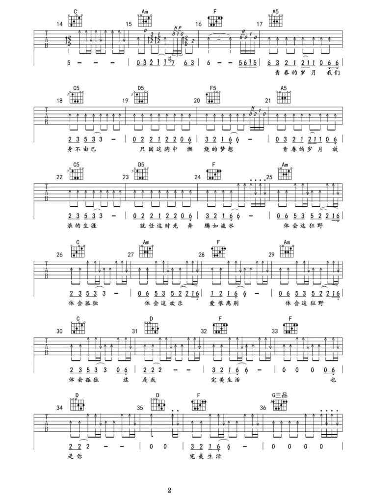 许巍《完美生活》吉他谱-2