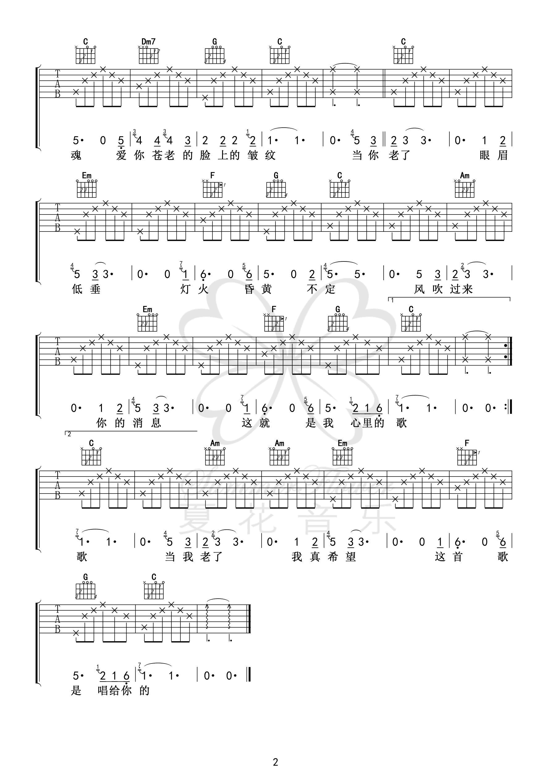 赵照《当你老了》吉他谱 C调简易版-2