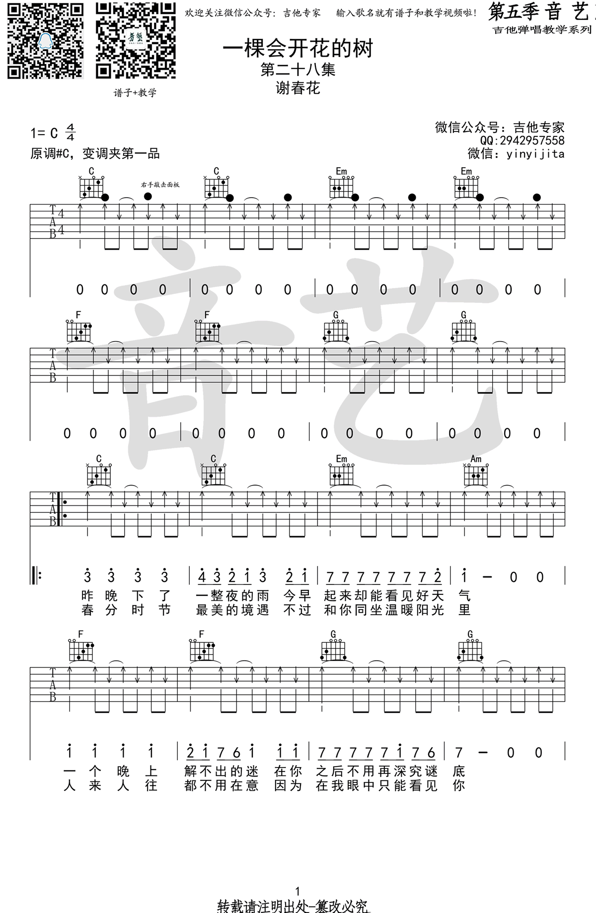 一棵会开花的树吉他谱